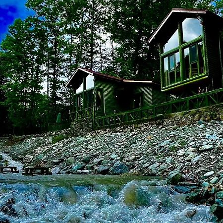 Doga Su Minimal Evler Villa Sapanca Buitenkant foto