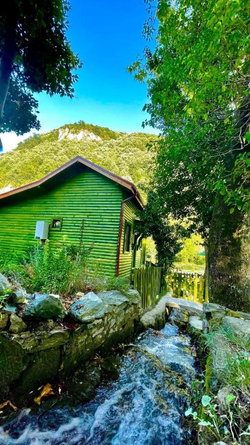 Doga Su Minimal Evler Villa Sapanca Buitenkant foto