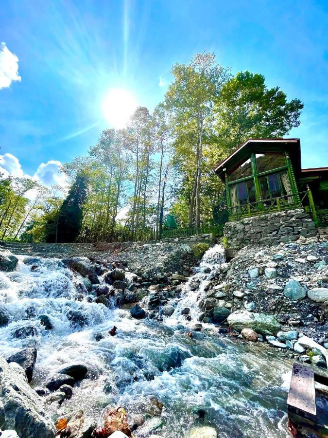 Doga Su Minimal Evler Villa Sapanca Buitenkant foto