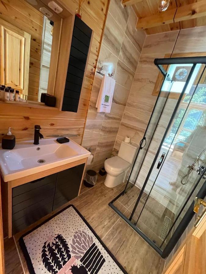Doga Su Minimal Evler Villa Sapanca Buitenkant foto